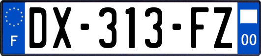 DX-313-FZ