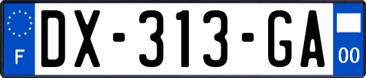 DX-313-GA