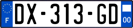 DX-313-GD