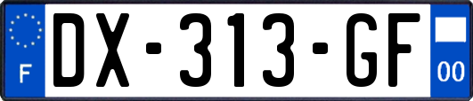 DX-313-GF