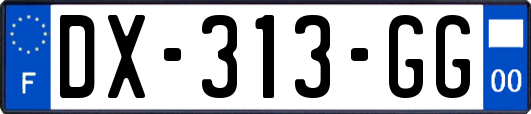 DX-313-GG