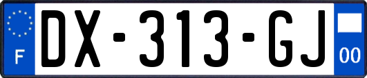 DX-313-GJ