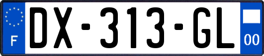 DX-313-GL