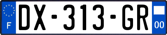 DX-313-GR