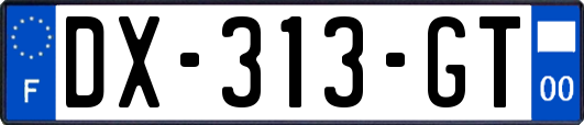 DX-313-GT