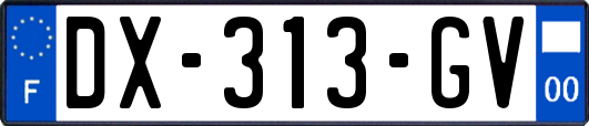 DX-313-GV