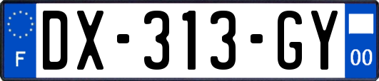 DX-313-GY
