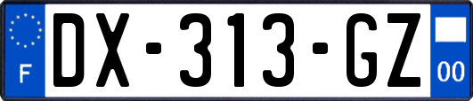 DX-313-GZ