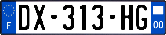DX-313-HG