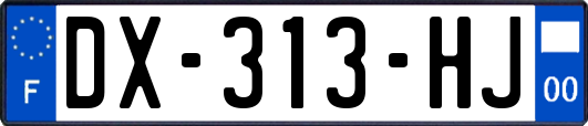 DX-313-HJ