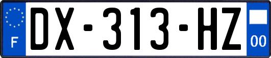 DX-313-HZ
