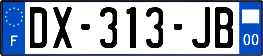 DX-313-JB