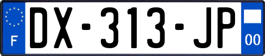 DX-313-JP