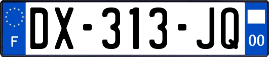 DX-313-JQ