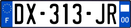 DX-313-JR