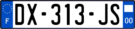 DX-313-JS