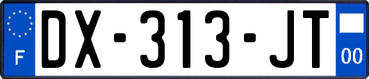 DX-313-JT