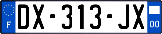 DX-313-JX