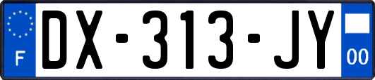 DX-313-JY