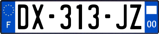 DX-313-JZ