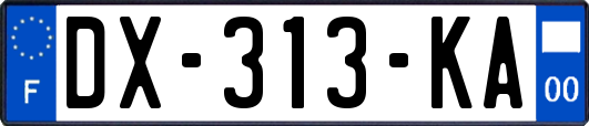 DX-313-KA