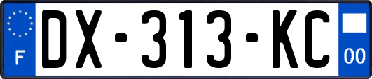 DX-313-KC