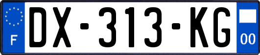 DX-313-KG