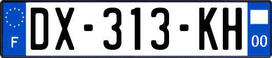 DX-313-KH