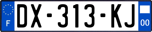 DX-313-KJ