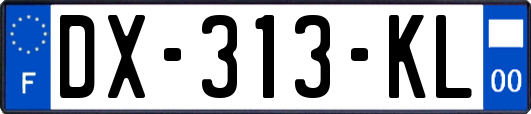 DX-313-KL