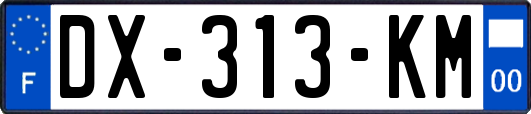 DX-313-KM