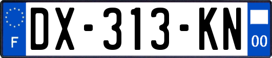 DX-313-KN