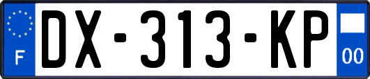 DX-313-KP