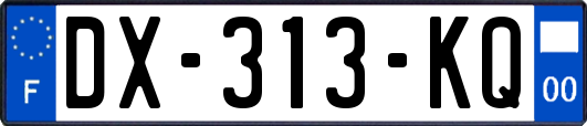DX-313-KQ