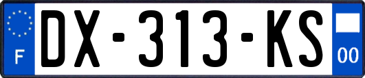 DX-313-KS