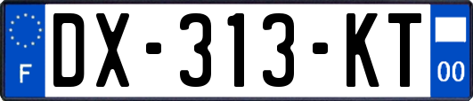 DX-313-KT