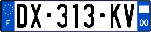 DX-313-KV