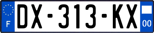 DX-313-KX