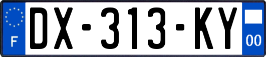 DX-313-KY