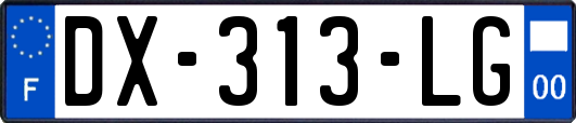 DX-313-LG