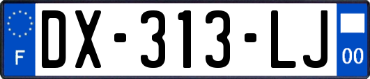 DX-313-LJ