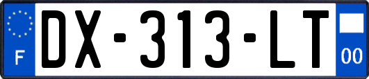 DX-313-LT