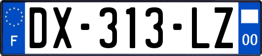 DX-313-LZ