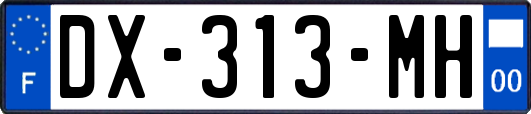 DX-313-MH