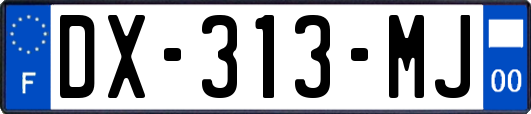 DX-313-MJ