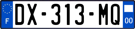 DX-313-MQ