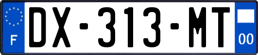 DX-313-MT