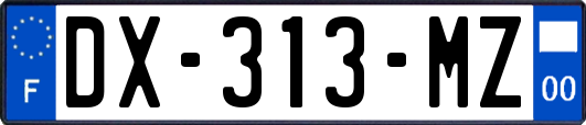 DX-313-MZ