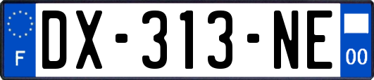 DX-313-NE