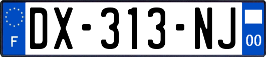 DX-313-NJ